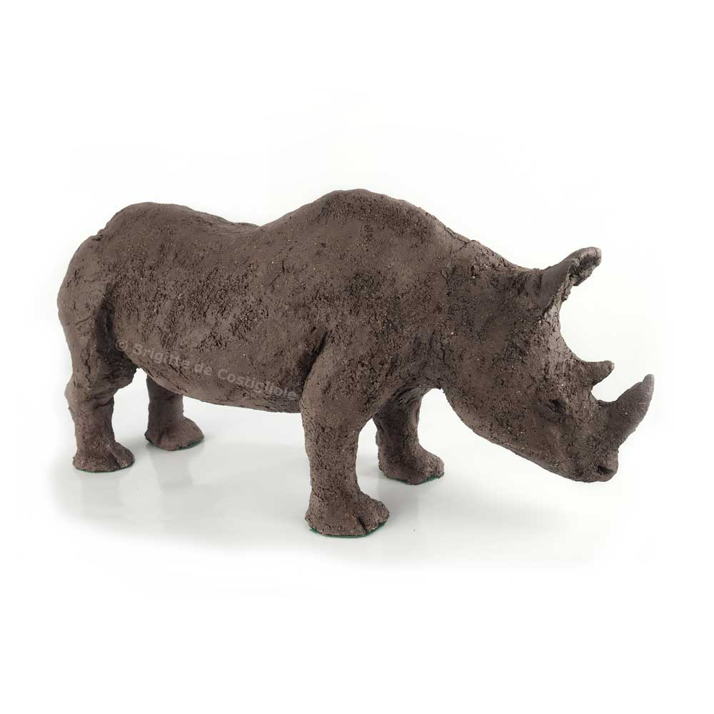 Hippopotame
